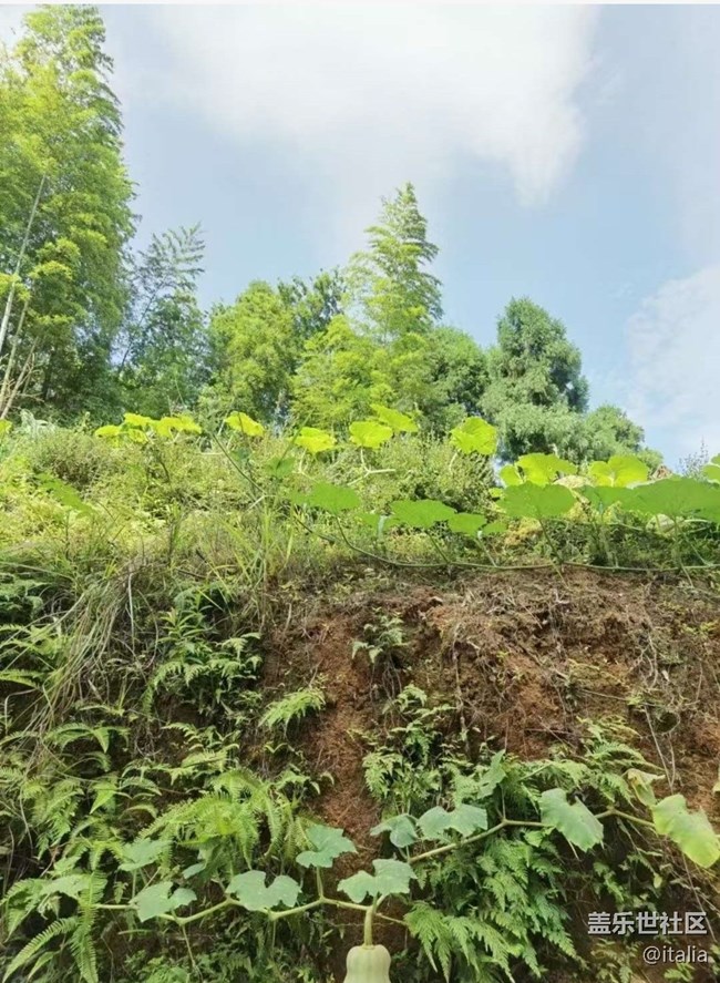 【光影之约】回乡