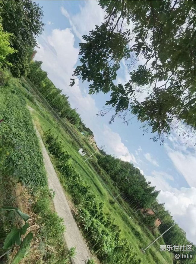 【光影之约】回乡