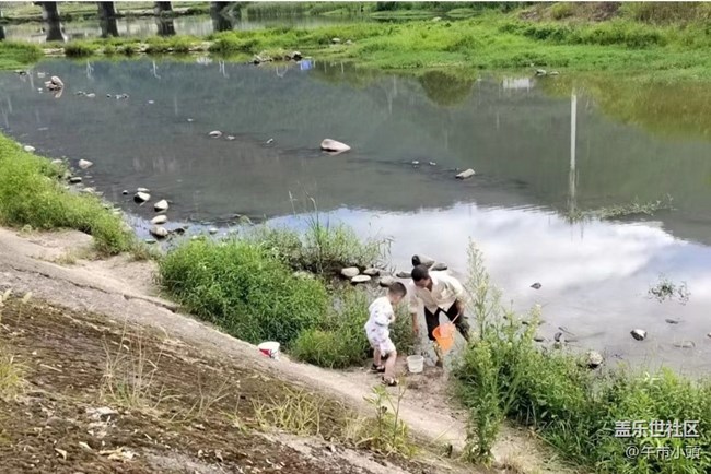 【光影之约】下河捞鱼