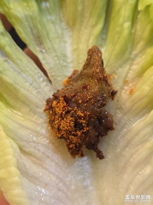 【 寻找灵感】+ 美食