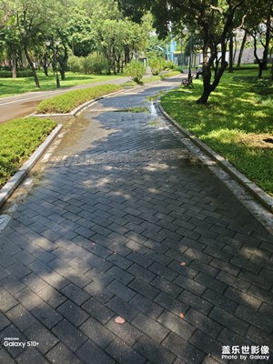 【 寻找灵感】雨后公园