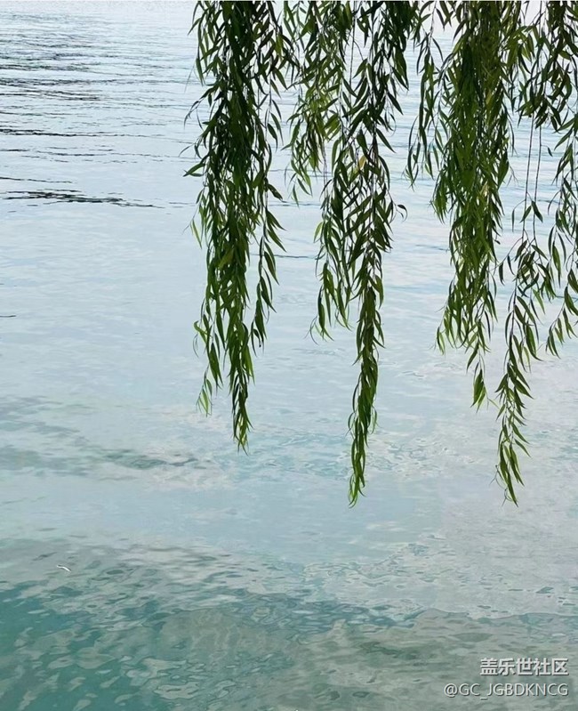 【光影之约】游西湖