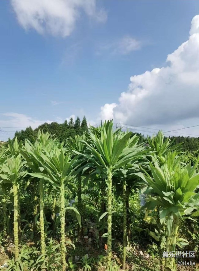 【光影之约】回乡