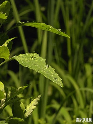 【 寻找灵感】+ 雨夜随拍