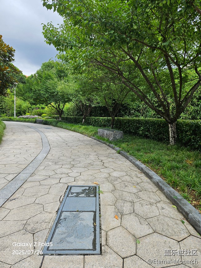 【夏日奇趣】青林湾公园