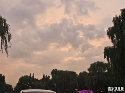 最近的天