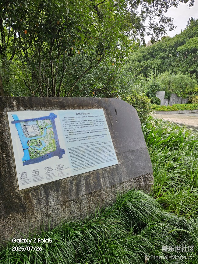 【夏日奇趣】青林湾公园