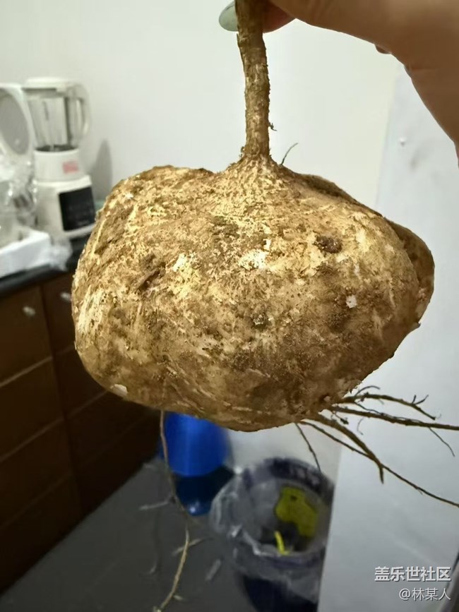 【鲜萃暑味】简餐