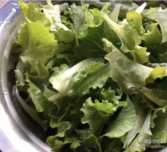 【鲜萃暑味】自给自足