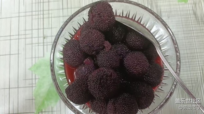 【鲜萃暑味】杨梅罐头