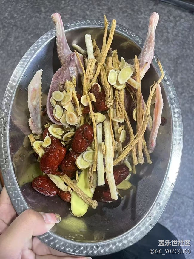【鲜萃暑味】炖鸽子