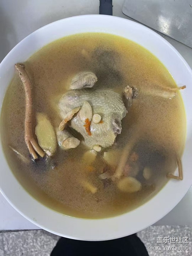 【鲜萃暑味】炖鸽子