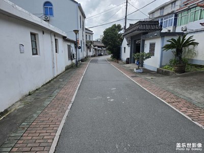 【用镜头安利一条街】适合漫步的一条街