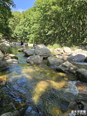 夏日寻清凉