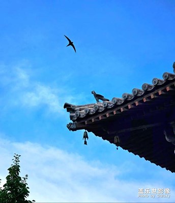 无题