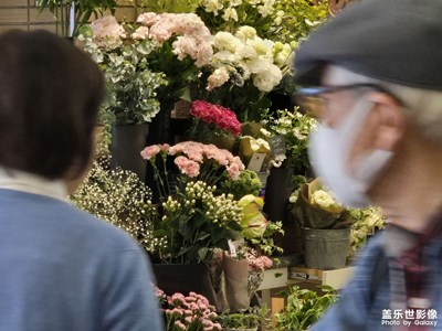 【用镜头安利一条街 】+ 花的街