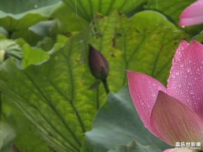 夏日和你