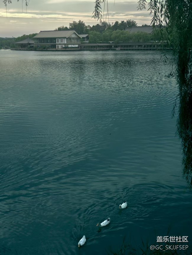 【云彩光影】城市边角，藏着的浪漫剧场