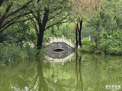 【拍有心动】雨后的植物园