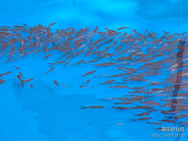 【浮光之间】快乐光影