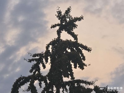 【拍有心动】+ 盛夏