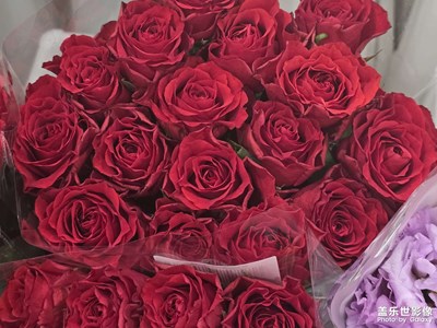 【拍有心动】+鲜花组合