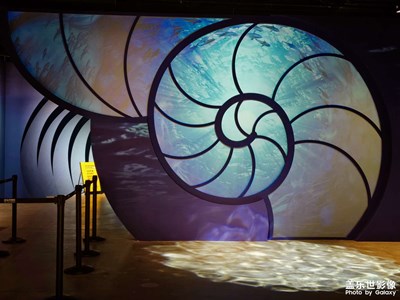 【拍有心动】+遇见海洋展