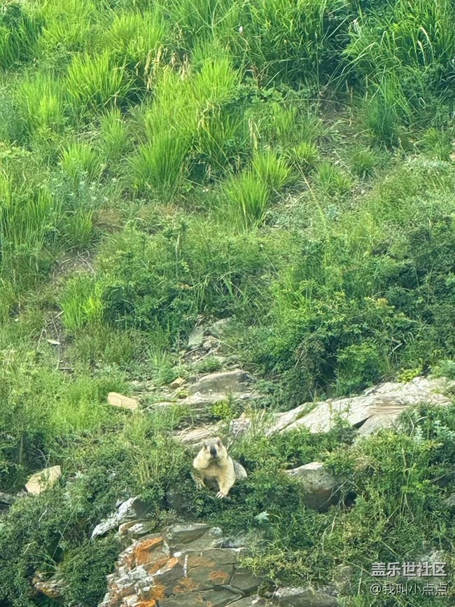 浮光之间+川西的风光