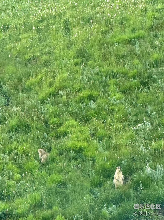 浮光之间+川西的风光