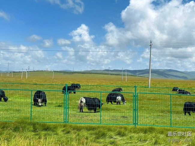 浮光之间+川西的风光