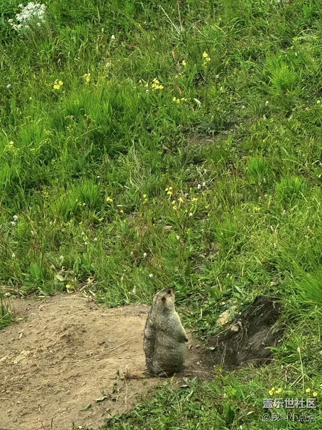 浮光之间+川西的风光