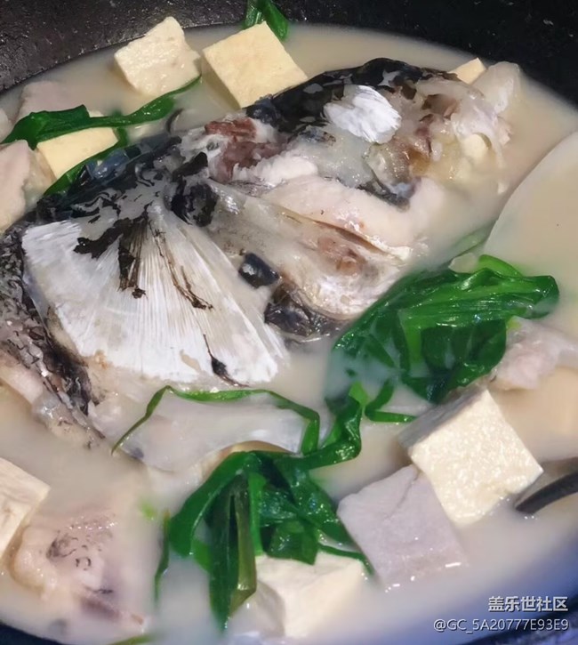 【即食满足】鱼头豆腐汤