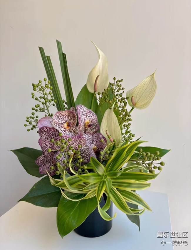 浮光之间+花花