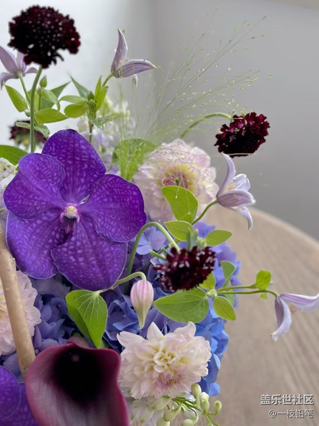 浮光之间+花花