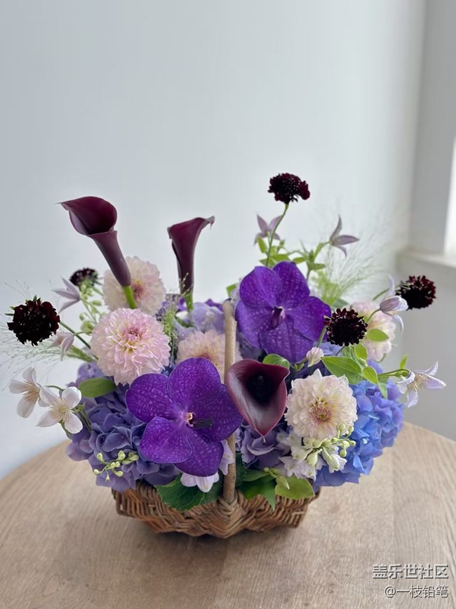 浮光之间+花花