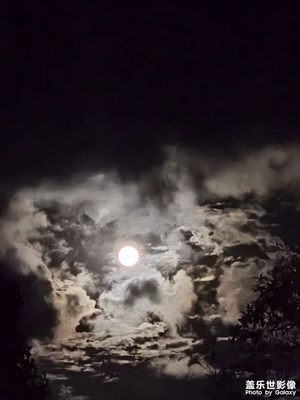[抬起头的视界]观天