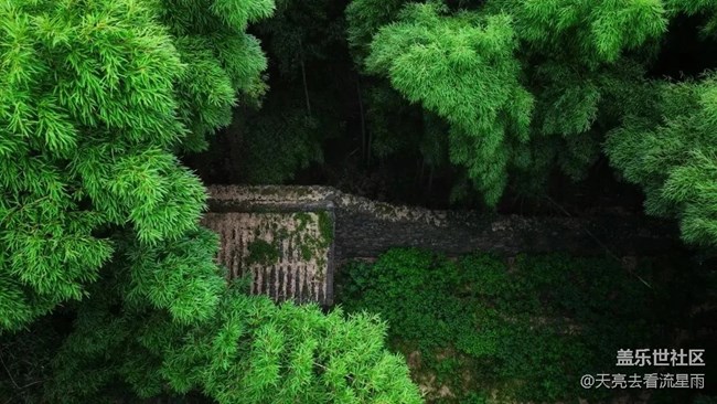 九度岭古道