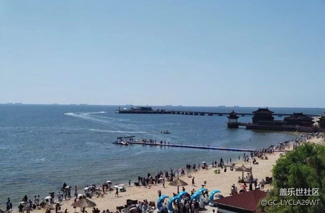 【鹏城暑色】老龙头