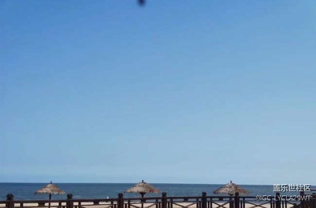 【鹏城暑色】老龙头