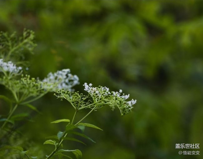 【鹏城暑色】临近秋天