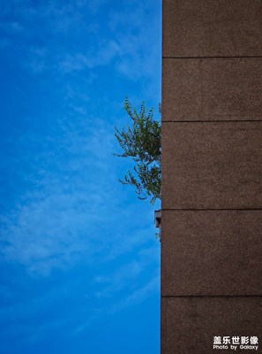 【抬起头的视界】+蓝天之下