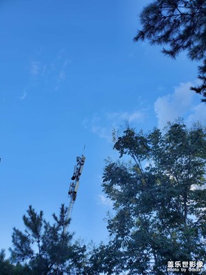【抬起头的视界】+ 天朗气清
