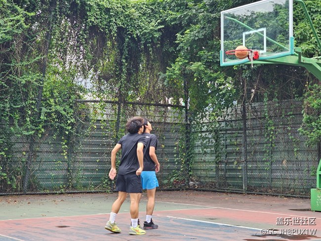 【运动光影瞬间】打篮球
