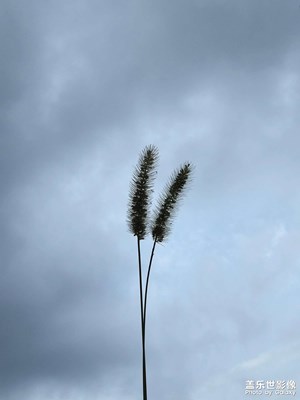 23u升级系统7.0第一个版本的拍照还是挺好的