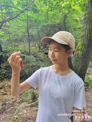 【生活的AB面】+山间清闲