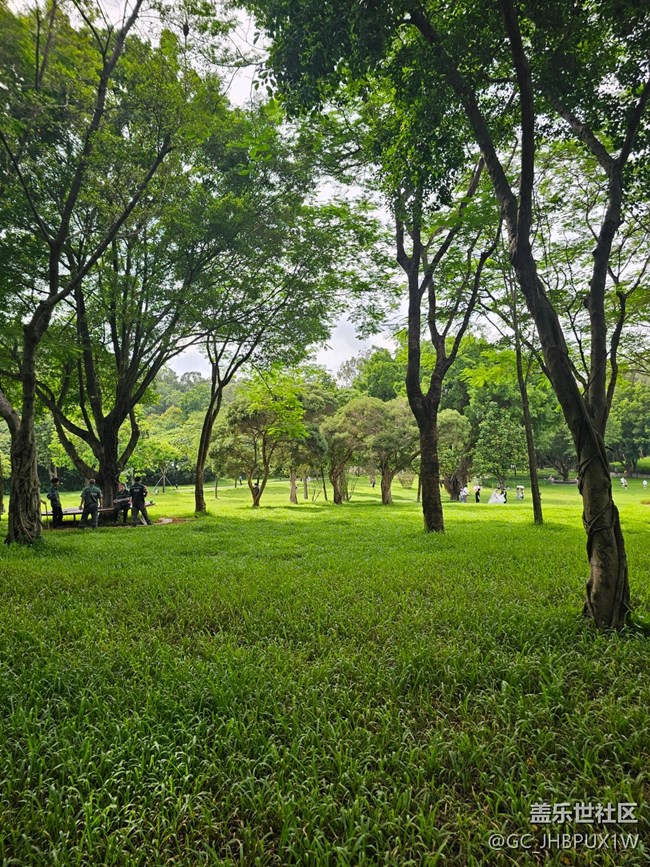 【如青春一般的盛夏】夏日炎炎