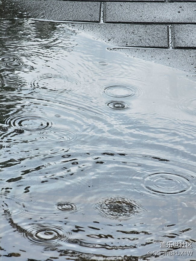 【漫步雨中】大雨模糊