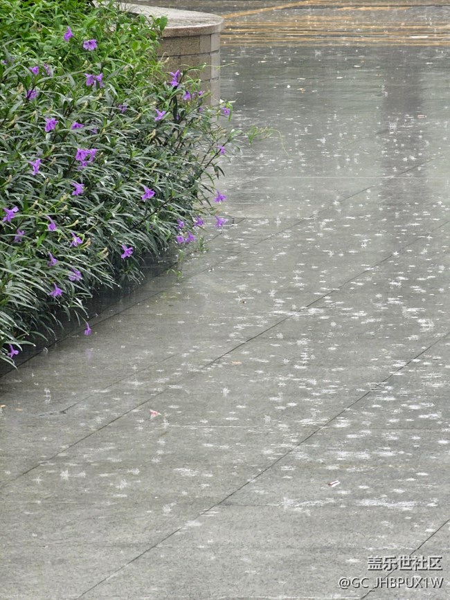 【漫步雨中】大雨模糊