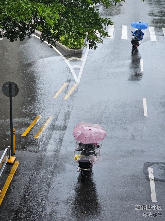 【漫步雨中】下雨了