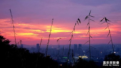 夕阳无限好只是近黄昏